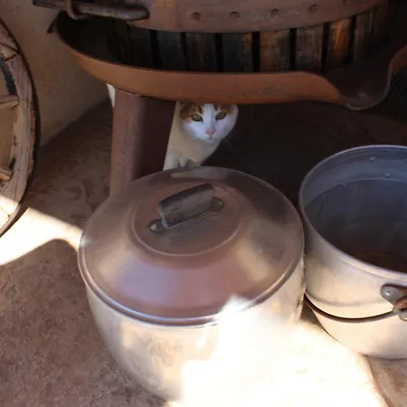 Giuliva Frühstückspension 3*