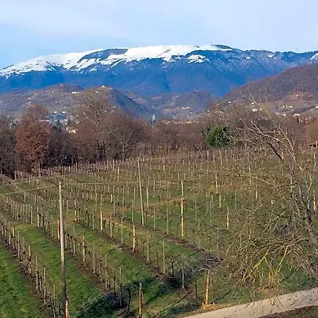 Giuliva