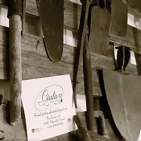 Giuliva Bed and breakfast