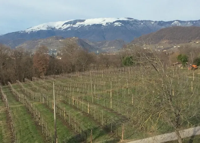 Giuliva Bed & Breakfast 3*