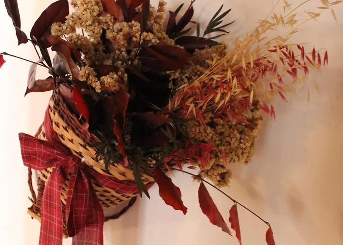 Bed & Breakfast Giuliva 3*